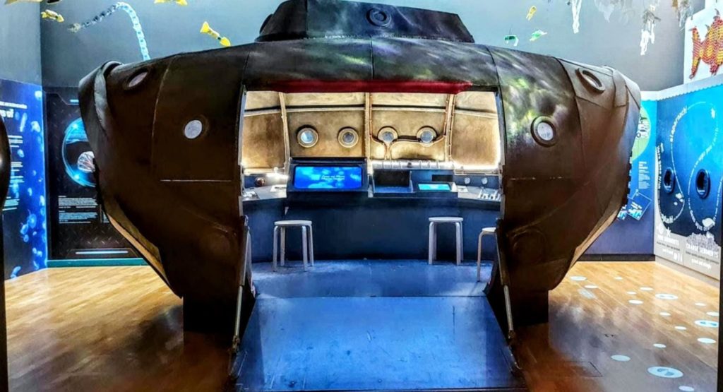 Galway City Museum prepare to host Ocean Celebration Week