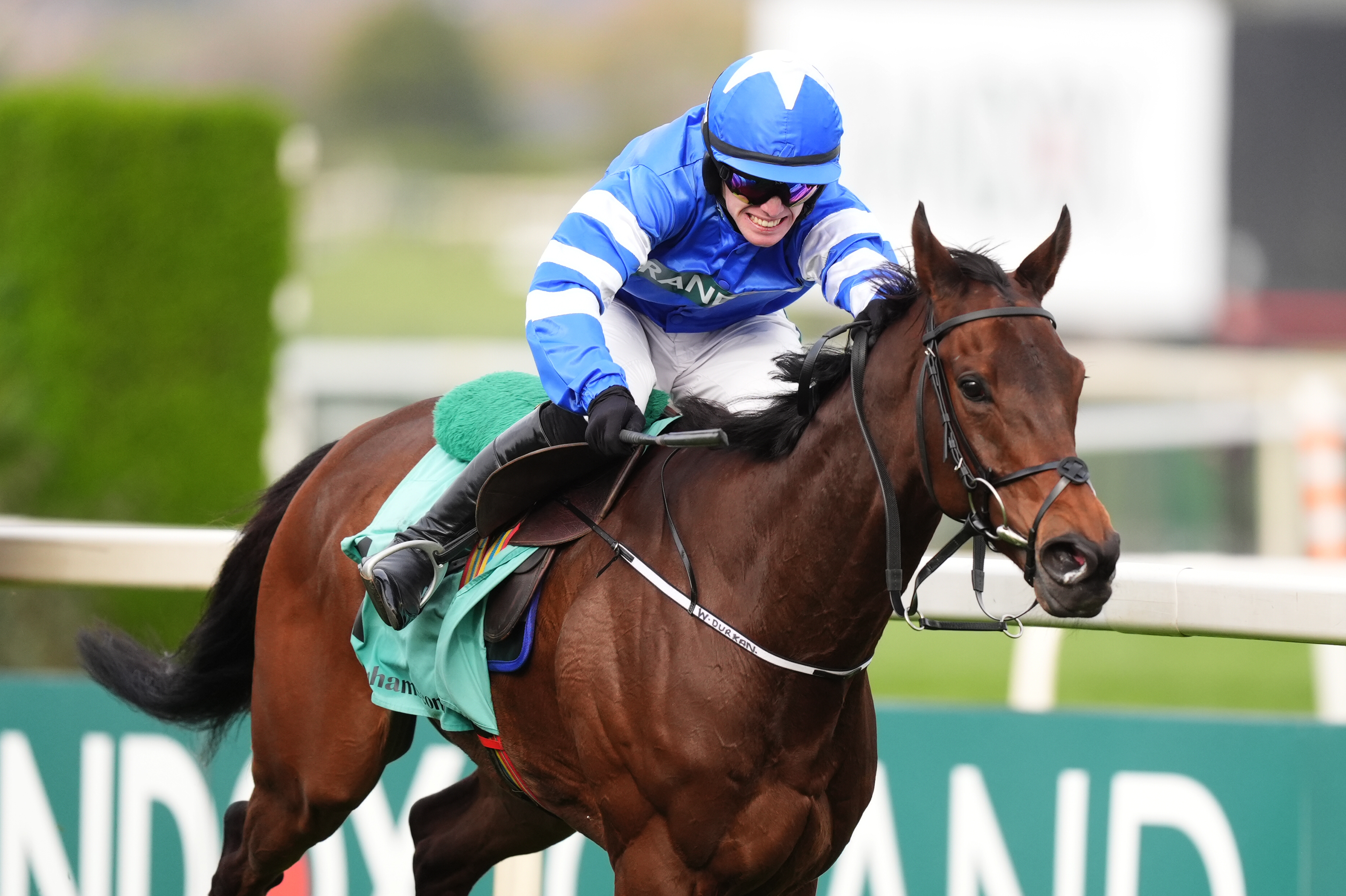 Aintree winner Laafi disqualified for breach of whip rules
