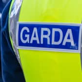 Garda in the Midlands struck by car that fled scene