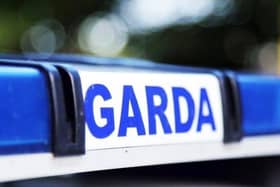 Gardaí concerned about the rise in pedestrian deaths
