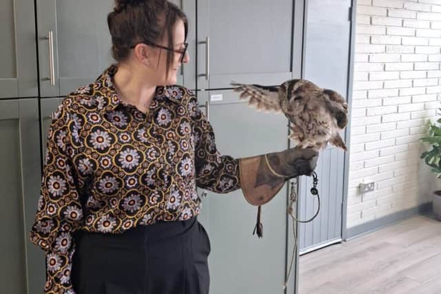 "Raven Haven Aviaries are breeders and exhibitors of native birds and birds of prey, whose knowledge, experience and professionalism ensure the highest quality care is bestowed on these monarchs of the skies," Laois Partnership Company praised.