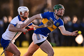 PIC: Sportsfile