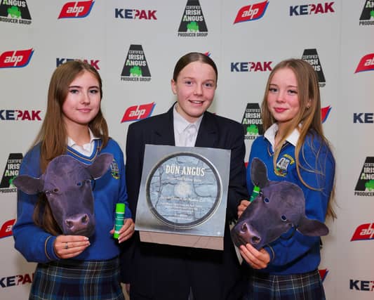 Zoe Ni Bhroin, Ruby Ni Bheolain, and Eleanor Ni Laighin from Gaelcholaiste Chill Dara