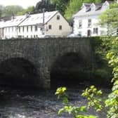 The tree has been described as an 'eyesore' coming over Ramelton Bridge