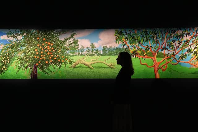 The artwork, which was painted on his iPad, was inspired by the near 70 metre-long Bayeux Tapestry.