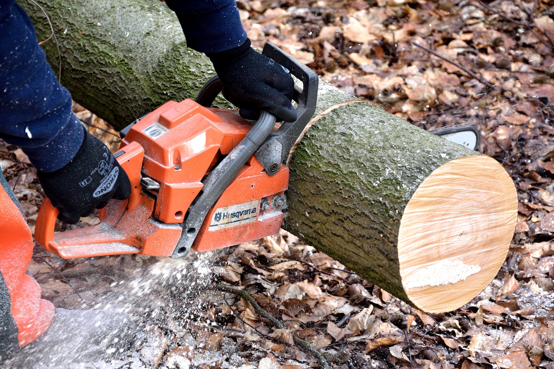 Emergency tree cutting to be carried out in Carrick-on-Shannon