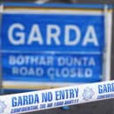 Anyone with information is asked to contact Thurles Garda Station on 0504 25100, the Garda Confidential Line on 1800 666 111, or any Garda Station.
