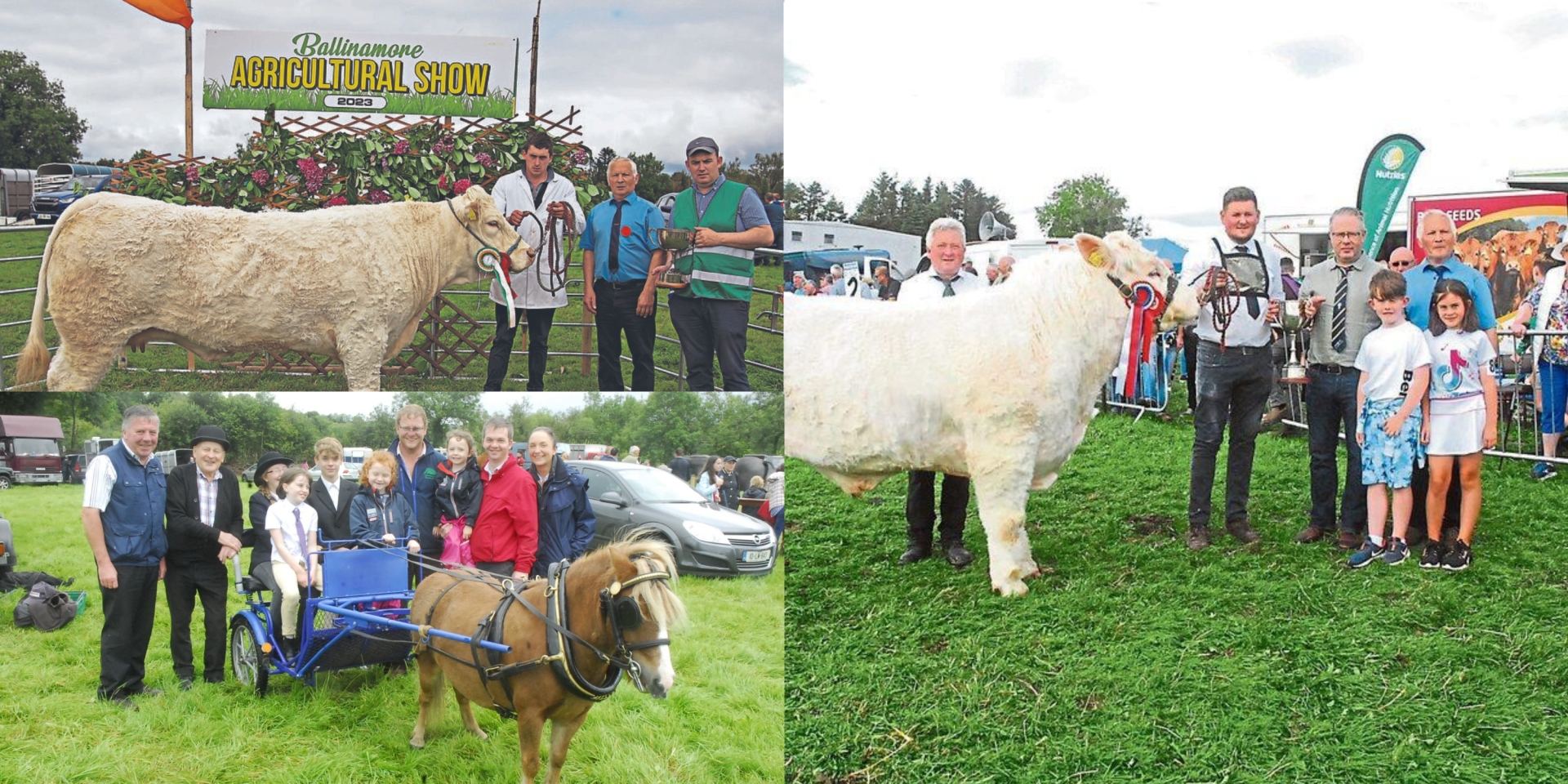 Funding boost for Leitrim agricultural shows ahead of summer season