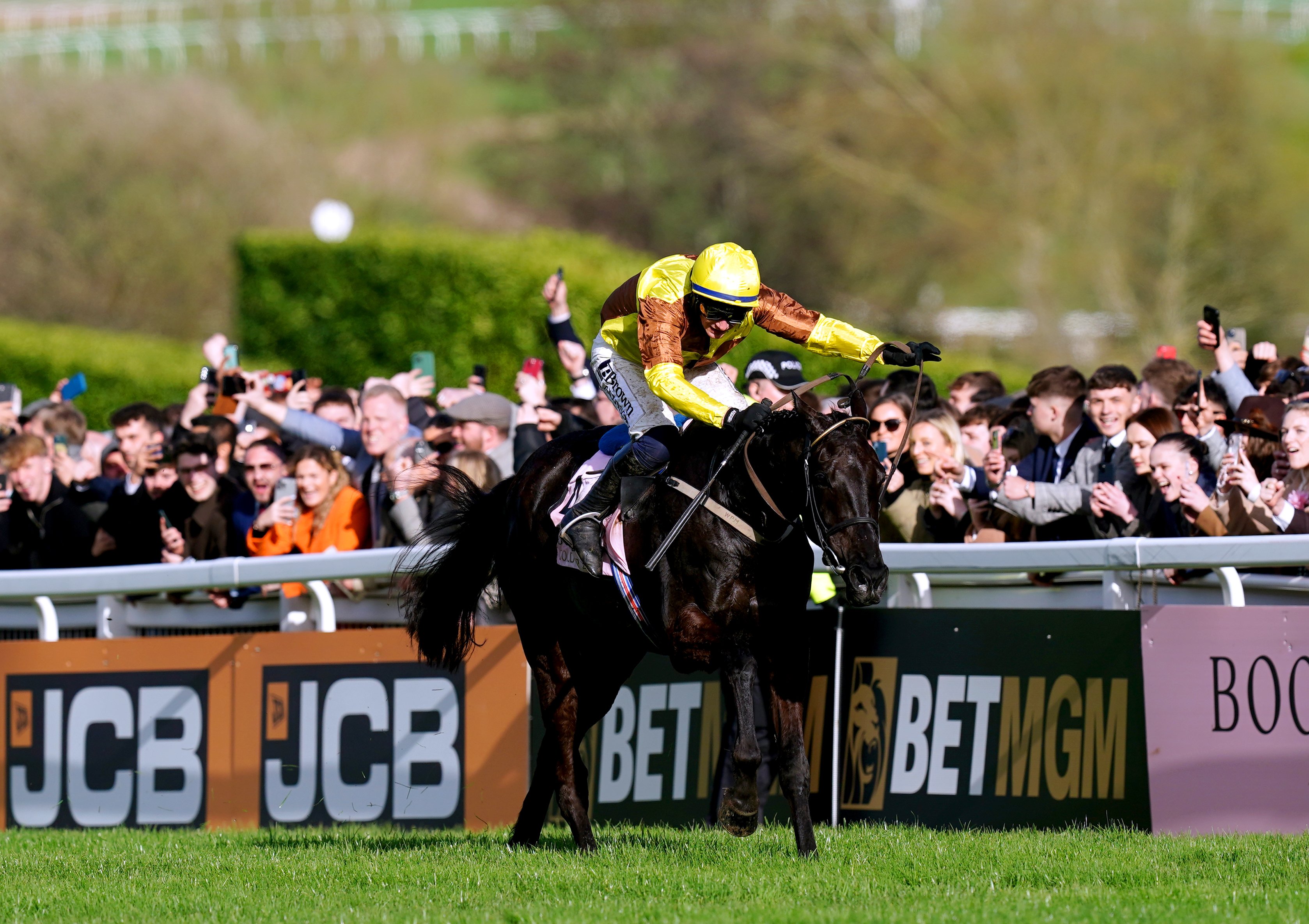 Galopin Des Champs to miss Cheltenham Gold Cup