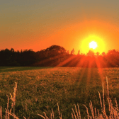 Spring is in the air for most of the northern hemisphere, and with that comes the promise of long and gloriously toasty summer days Picture: Pexels