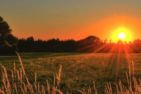 Spring is in the air for most of the northern hemisphere, and with that comes the promise of long and gloriously toasty summer days Picture: Pexels