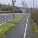 Overgrown hedges on Business Park Road. Photo: Donal 'Mandy' Kelly