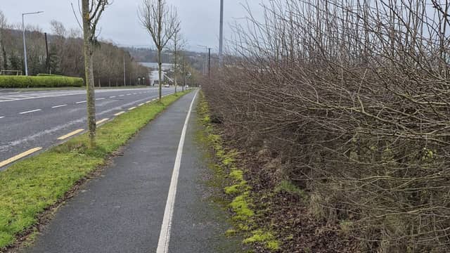 Overgrown hedges on Business Park Road. Photo: Donal 'Mandy' Kelly