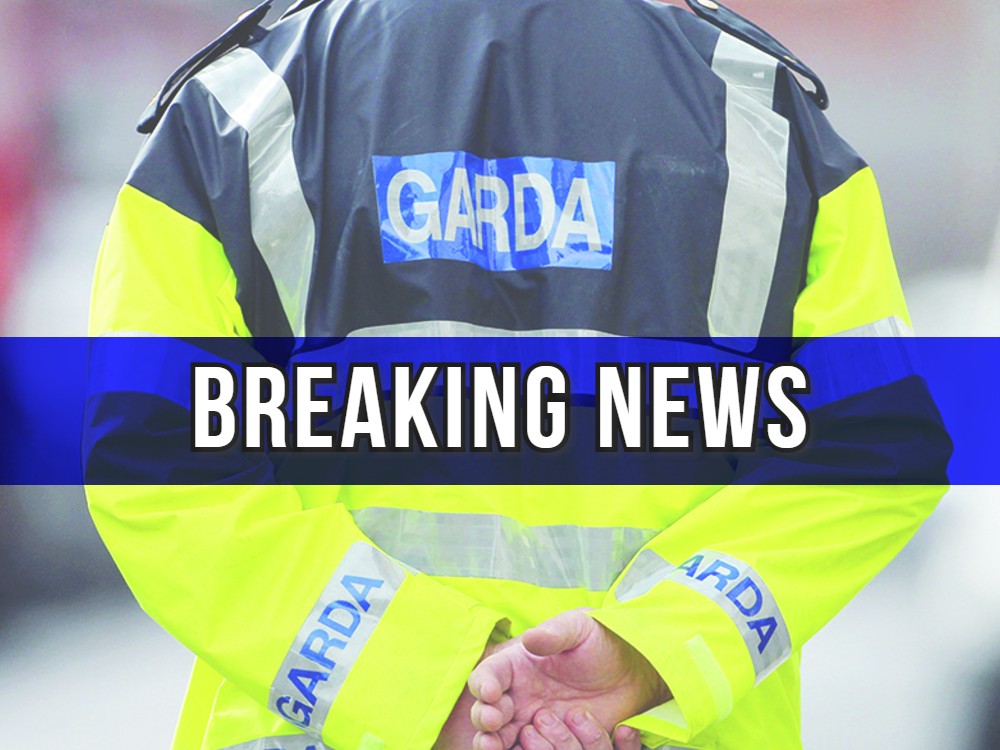 Longford GardaÍ were involved in the seizure