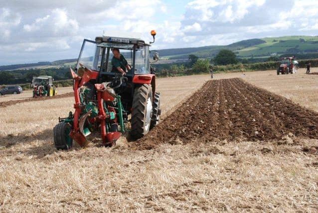 A ploughman taking part in a competition.