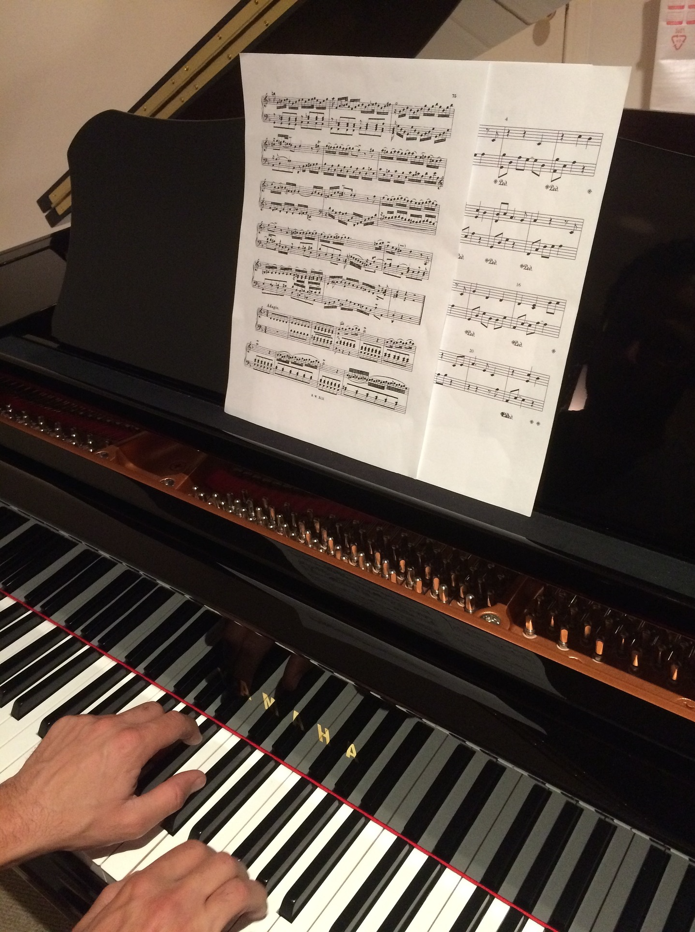 Killurney Sports and Social Club are delighted to share their recently gifted beautiful piano.