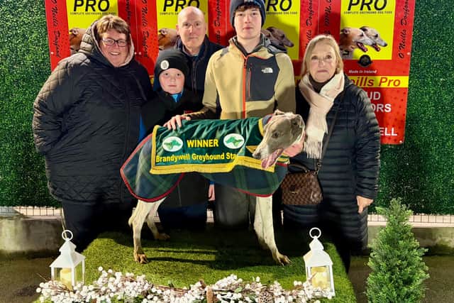Derry Greyhounds: Starcash Barry nears century with victory lap