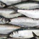 The case relates to a landing of herring