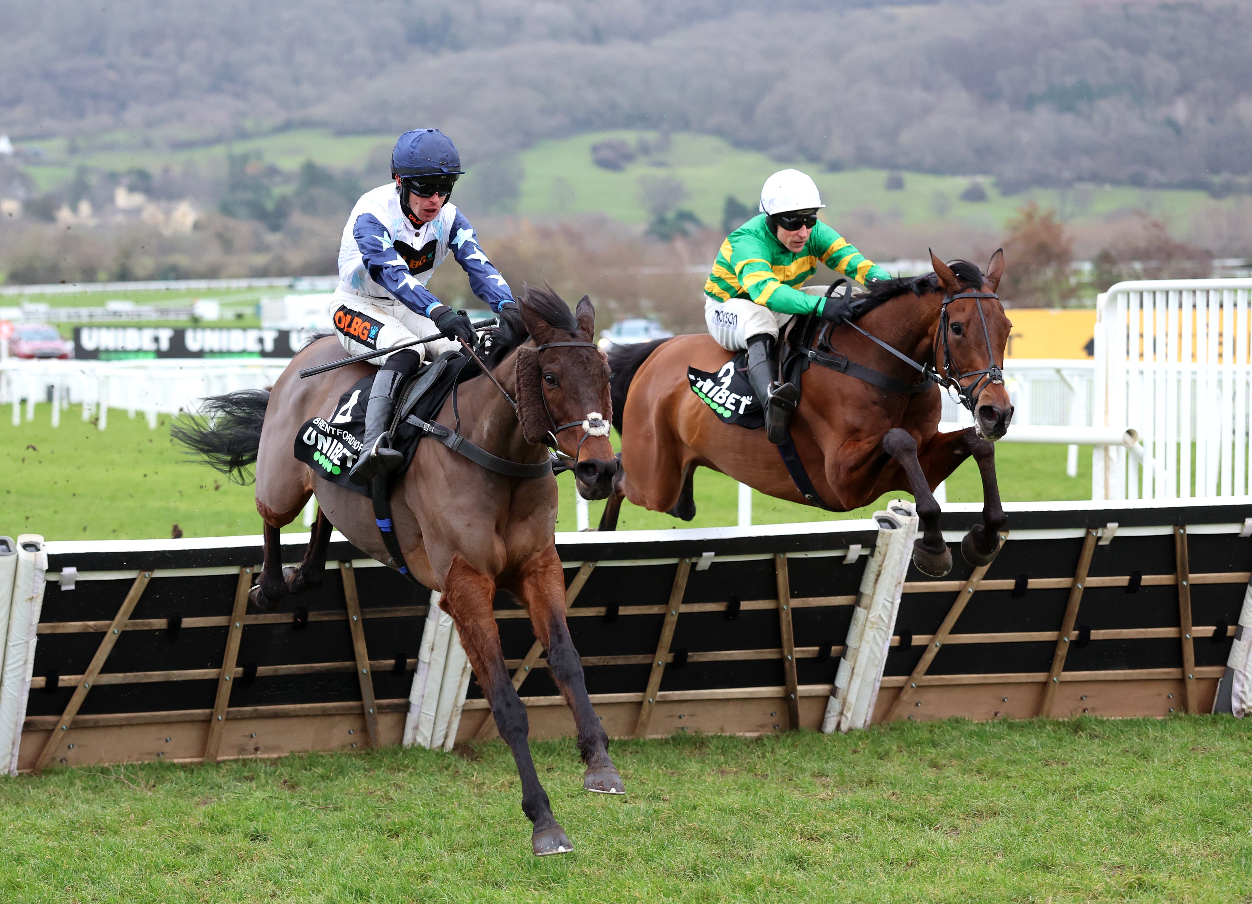 The New Lion wins Unibet Hurdle, but Cheltenham feature marred by Sir ...