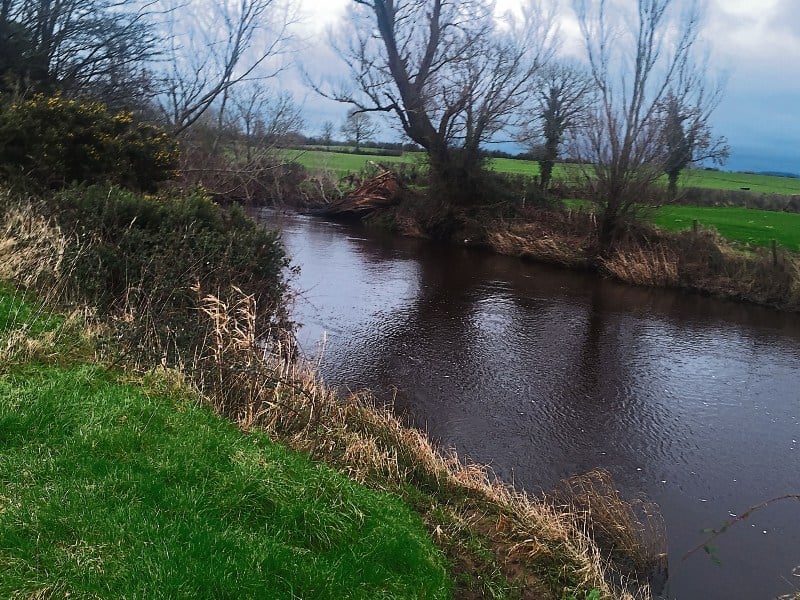 Louth one of only two counties to have no river waters of high ...