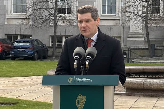 Launching the plan, Minister for Enterprise Peter Burke said: “We’re trying to manage the digital and the green transition together.”