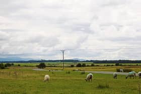 Concerns that illegal hunting is ‘destroying’ well-known Kildare spot. ABOVE: File photograph showing The Curragh Plains