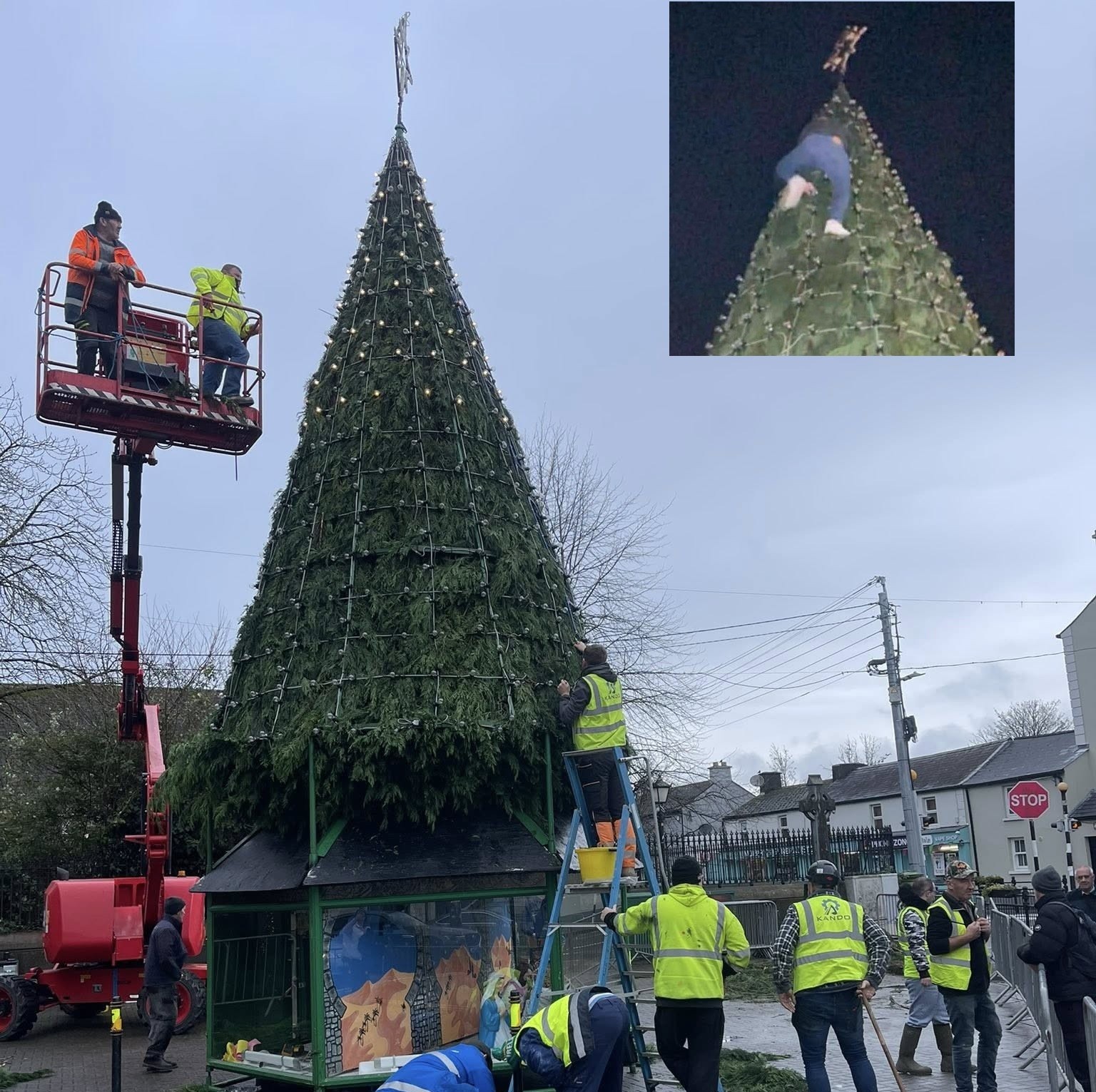 Man comes forward after climbing huge Christmas tree on Saturday night