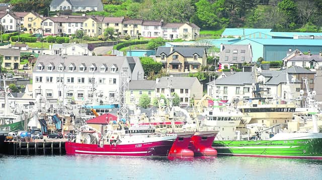 Dominic Rihan, CEO of the Killybegs Fishermen’s Organisation (KFO), warns that new quota proposals could cut opportunities for Ireland’s pelagic fleet by almost 50 per cent next season