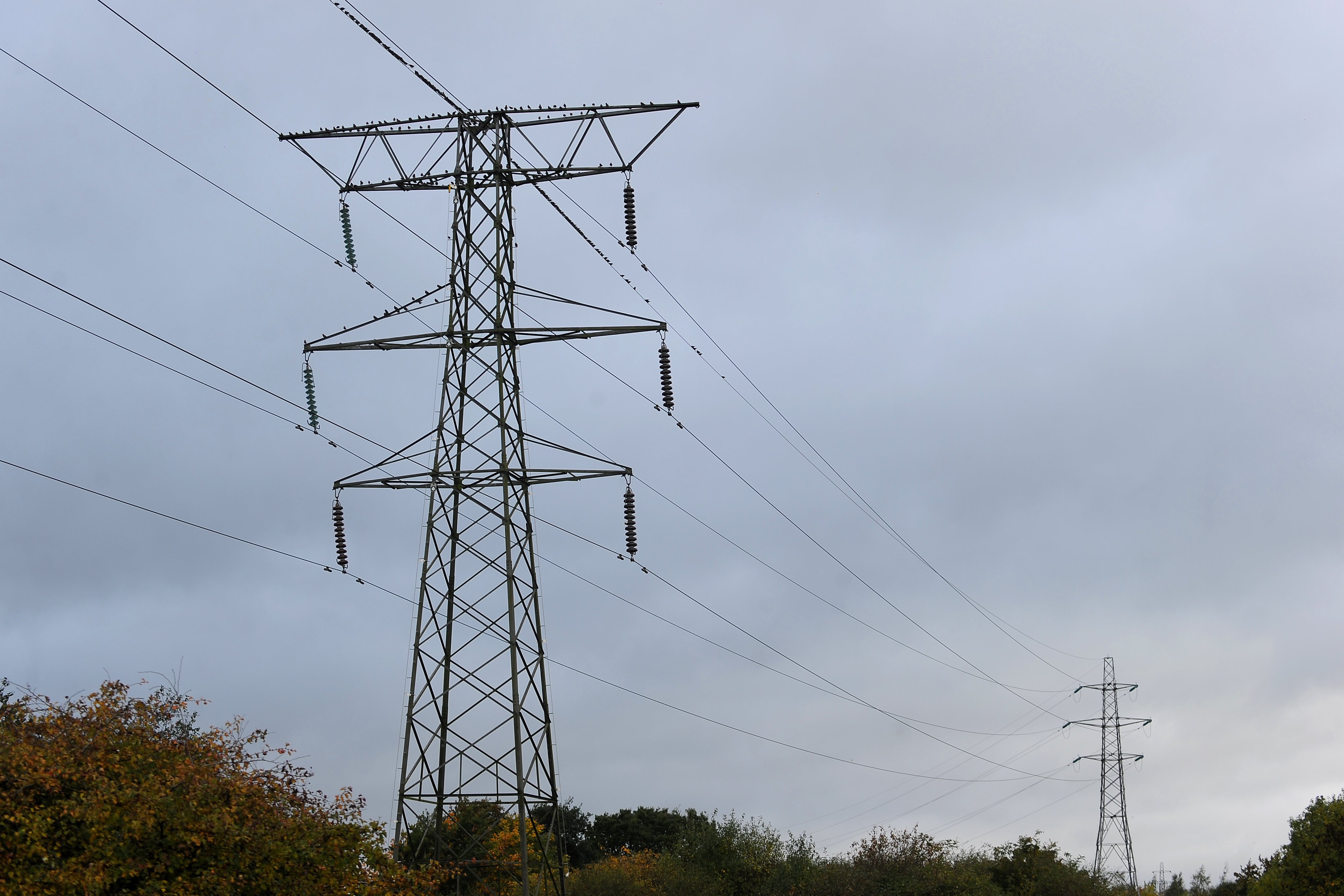 Council raising objection to power line is victory for democracy ...