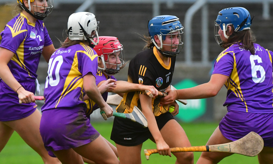 Action from the 2024 County Final between St Brigid's and Camross. Picture: Denis Byrne