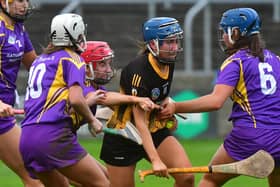 Action from the 2024 County Final between St Brigid's and Camross. Picture: Denis Byrne