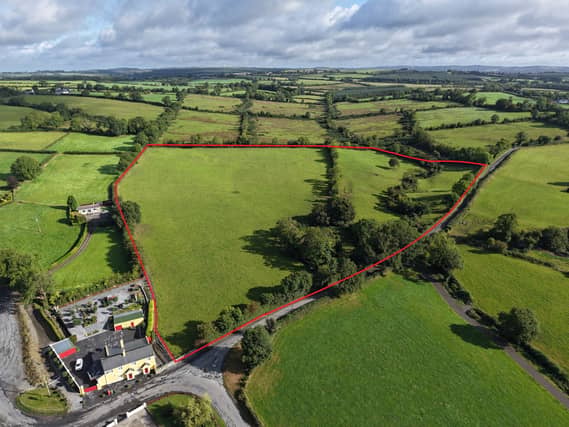 The first lot was 14.88acres with an old stone house at Ballyluskey, Drangan