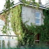 Camphill Dunshane in Brannockstown, Co. Kildare, will celebrate its 40th anniversary with a special Open Day on Thursday, October 23rd, 2025, from 12 noon to 4pm.