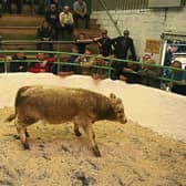 Marts  have not operated normally since the Covid-19 pandemic struck
