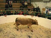 Marts  have not operated normally since the Covid-19 pandemic struck