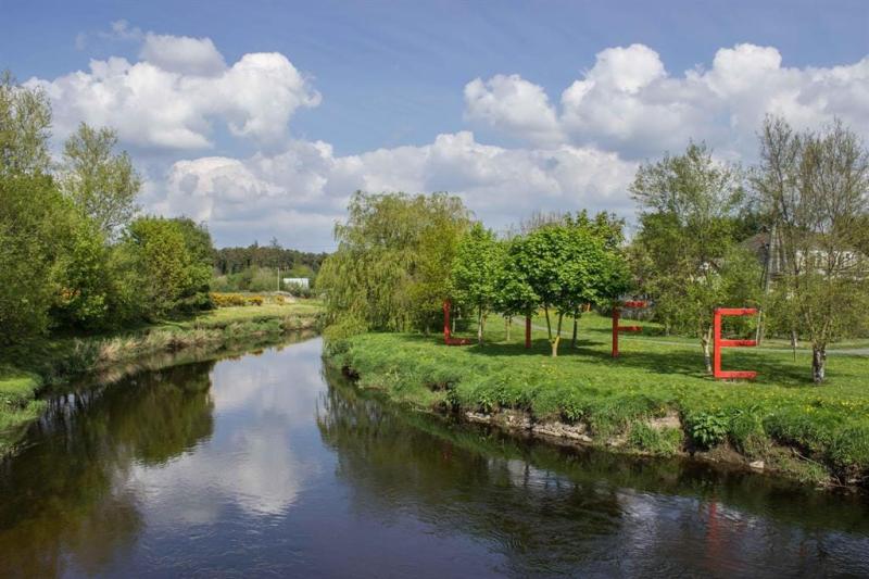 The river Barrow in Portarlington.