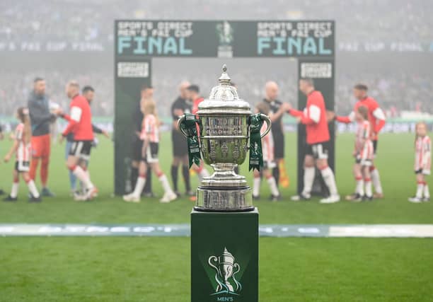 A general view of the FAI Cup before last November's Sports Direct Men's FAI Cup Final match between Drogheda United and Derry City at the Aviva Stadium. (Photo: Stephen McCarthy/Sportsfile)