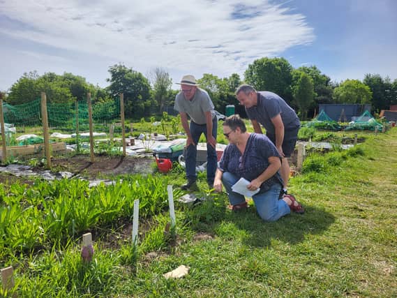 Bill Johnston, Kevin Meenan and Pam Hosford, members of the Muirhevnamor Allotments & Community Garden committee