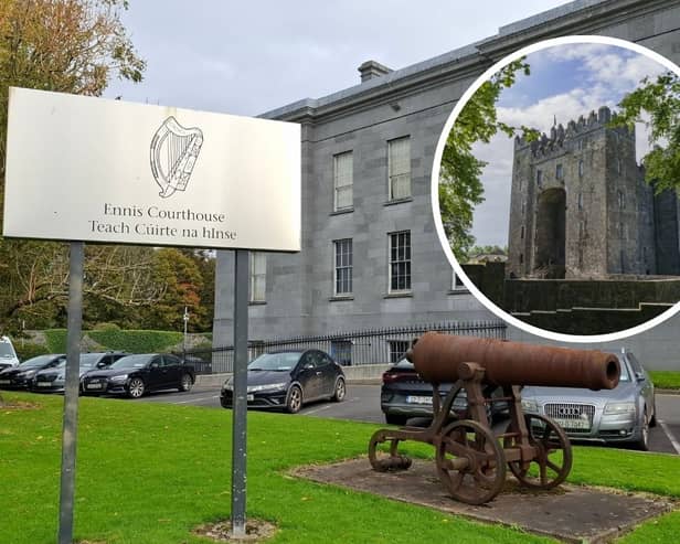 Ennis Circuit Court was told the then 18-month-old was bitten on the arm while visiting Bunratty Castle and Folk Park with her family