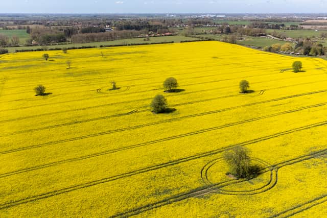 “By doing this, we will also reduce the costs of key foods that the UK depends upon.”