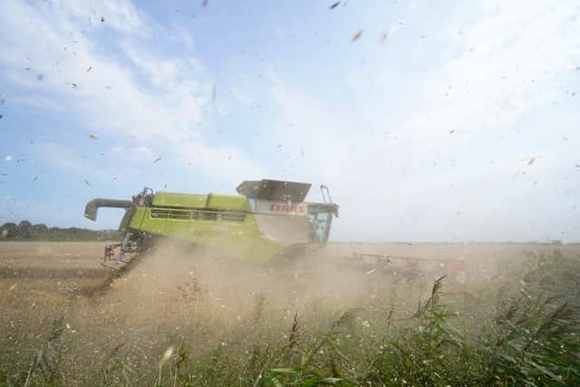 However, Defra’s figures show yields to be lower than these estimates across all these crops – with 7.0 tonnes for wheat, 6.5 tonnes for winter barley, 5.0 tonnes for spring barley, 4.6 tonnes for oats and 3.5 tonnes for oilseed rape.