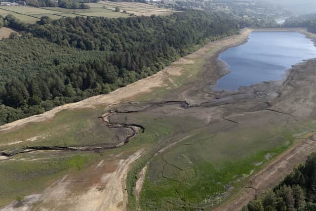 Philip Evans, senior campaigner for Greenpeace UK, said: “This is the climate crisis hitting British farmers hard and ultimately impacting UK supermarket shelves and the food we put on our tables.