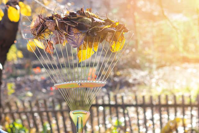 “Moss also loves to creep between slabs,” she highlights. “Here, you can use a narrow wire brush or old toothbrush to clear it out, then consider sealing the gaps to keep weeds and moisture at bay.”