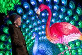 Credit: Dublin Zoo Wild Lights website