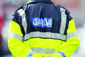 RIP: Gardaí appeal for witnesses after teenage girl tragically killed in Tipperary crash