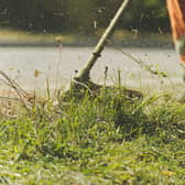 Strimming grass. Image: Pascal Küffer, Pexels