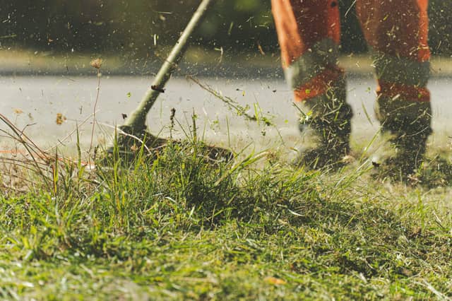 Strimming grass. Image: Pascal Küffer, Pexels