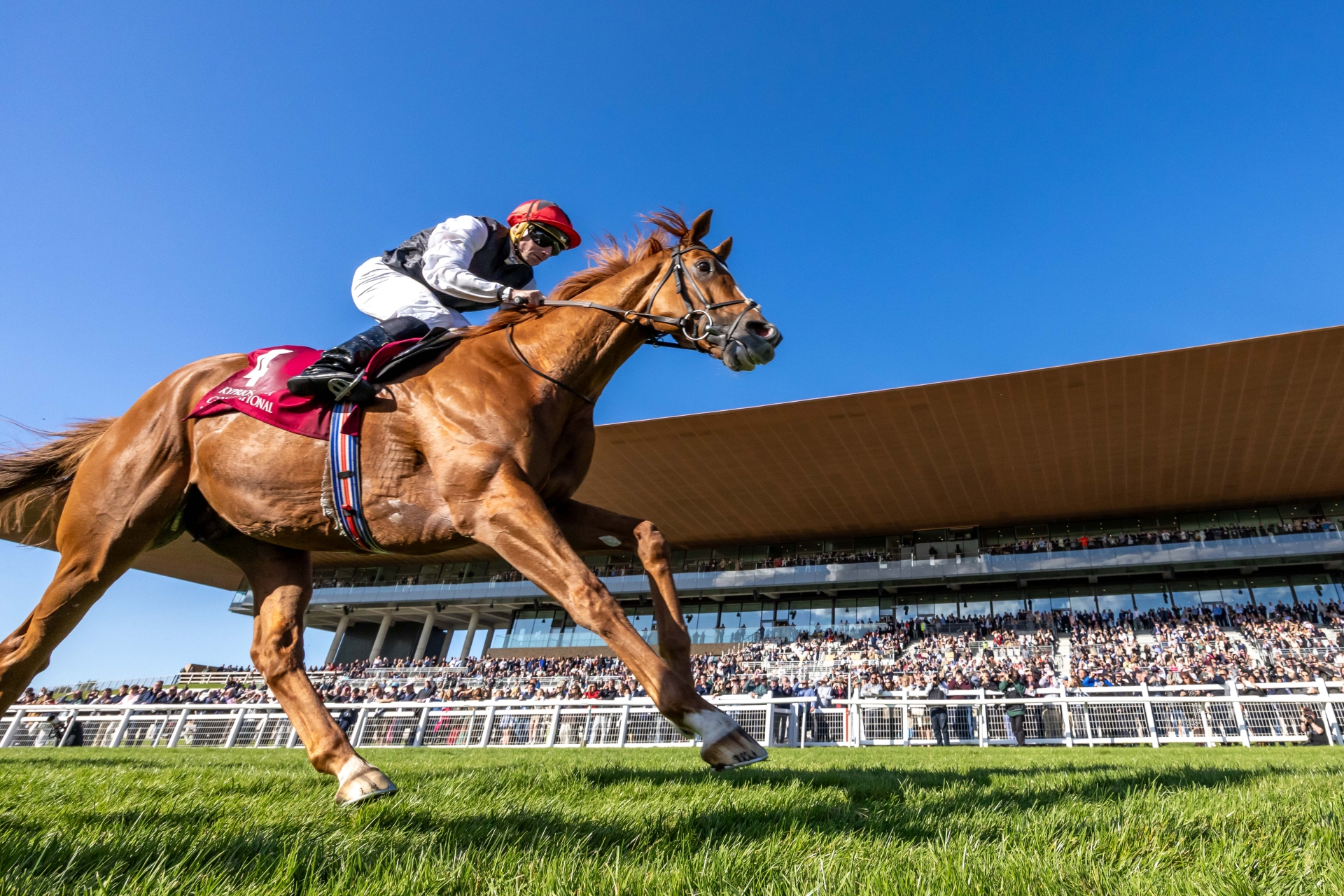 Surprise celebrity to help judge style competition at Curragh ...