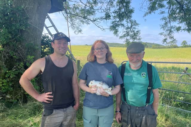 Barn owl breeding success for third year in a row on Co Down farm