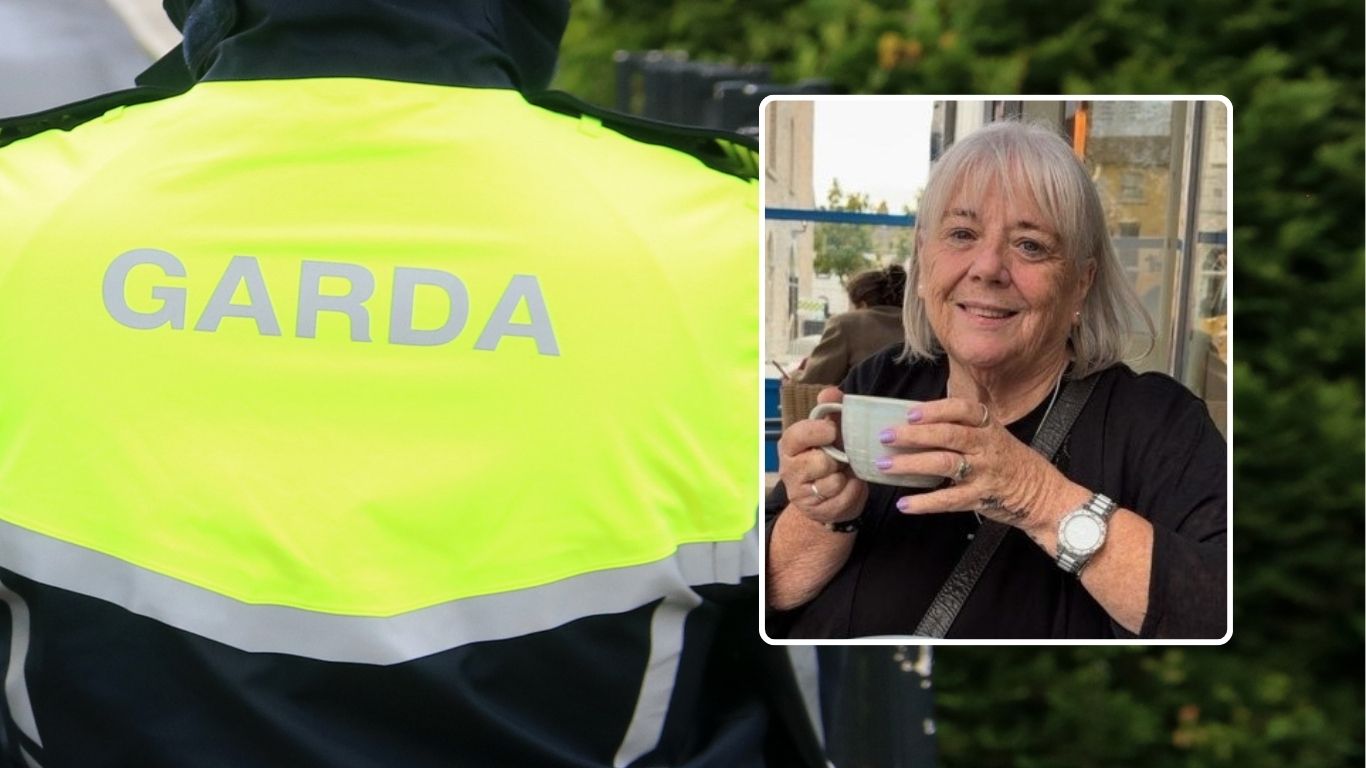 ALERT: Gardai issue urgent appeal amid concerns for wellbeing of ...